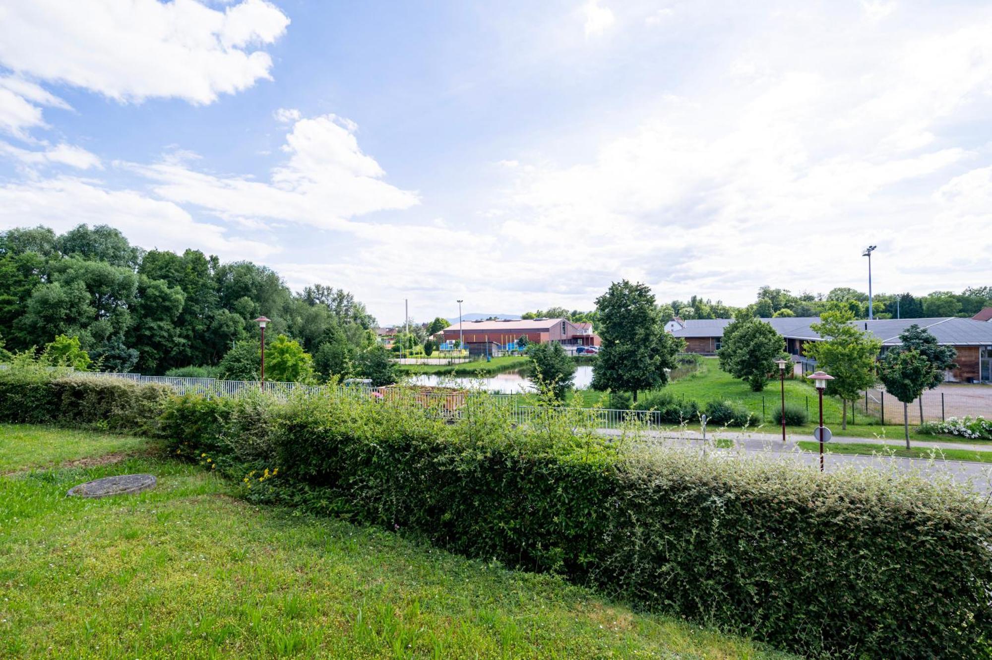 Apartmán Chez Virgil - Terrasse Vue Degagee, Parking Prive Ernolsheim-Bruche Exteriér fotografie